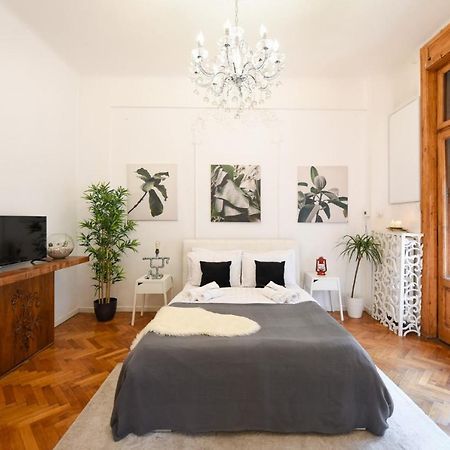 בוקרשט Vintage Elegance, Modern Comfort: 1Br Apartment Overlooking Calea Victoriei מראה חיצוני תמונה
